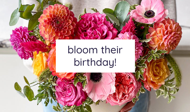 Orange Roses and Thistle Bouquet, Birthday Flower Delivery