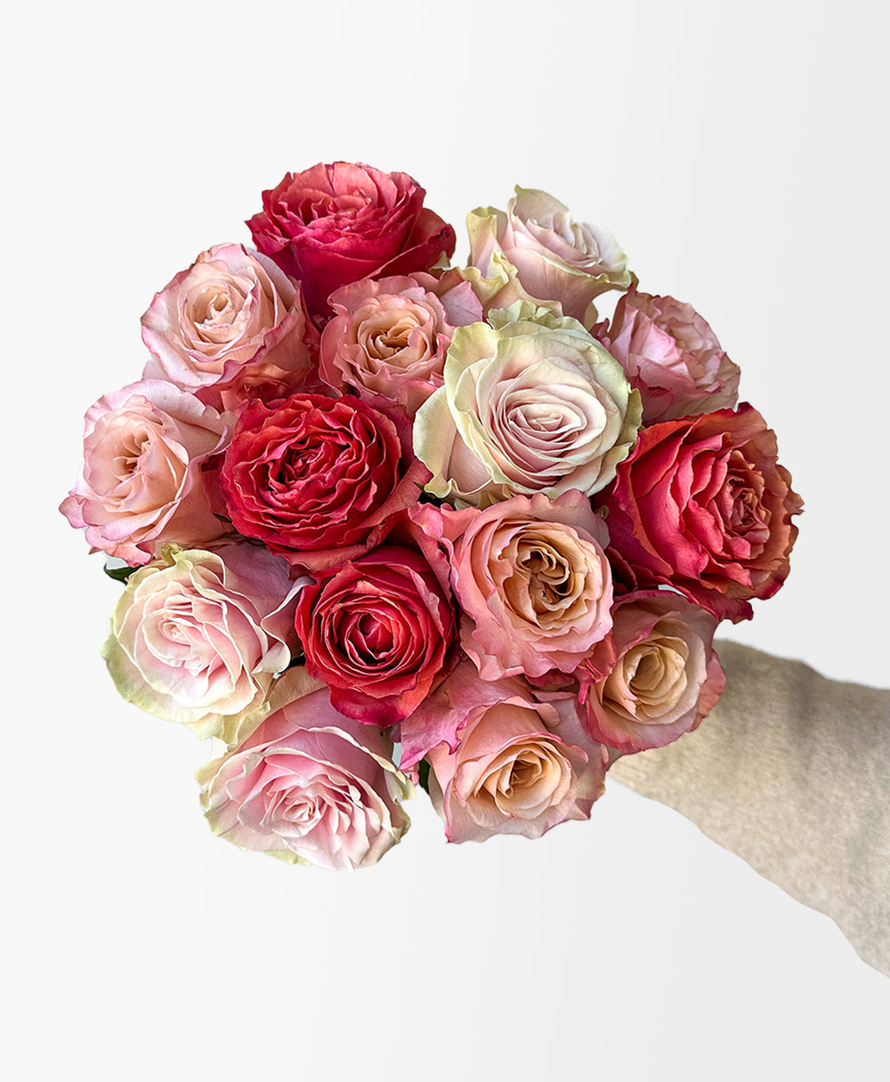 Bold Roses Blush & Bold Rose Mix (15 stems) - Flower Care
