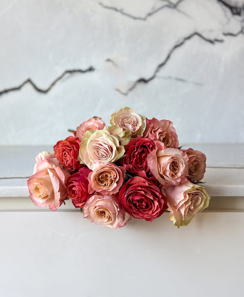 Blush & Bold Rose Mix (15 stems)