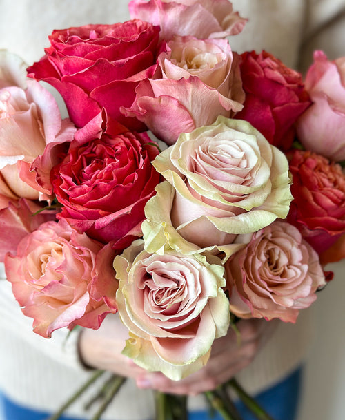 Blush & Bold Rose Mix (15 stems)