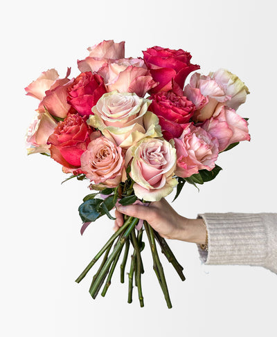 Blush & Bold Rose Mix (15 stems)