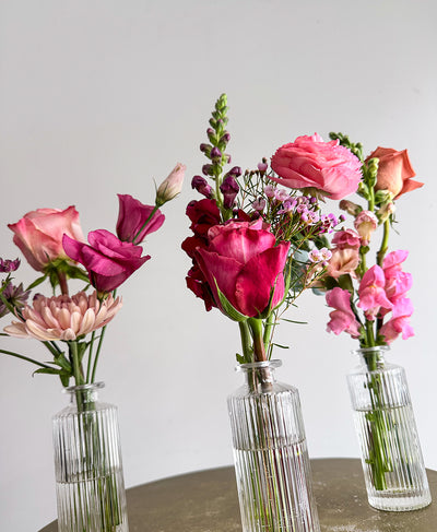 Buddy System (Colourful)