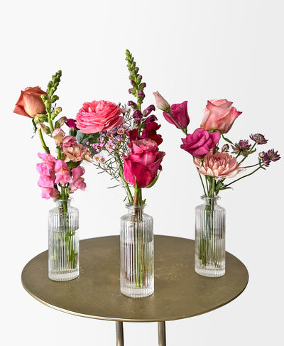 Buddy System (Colourful)