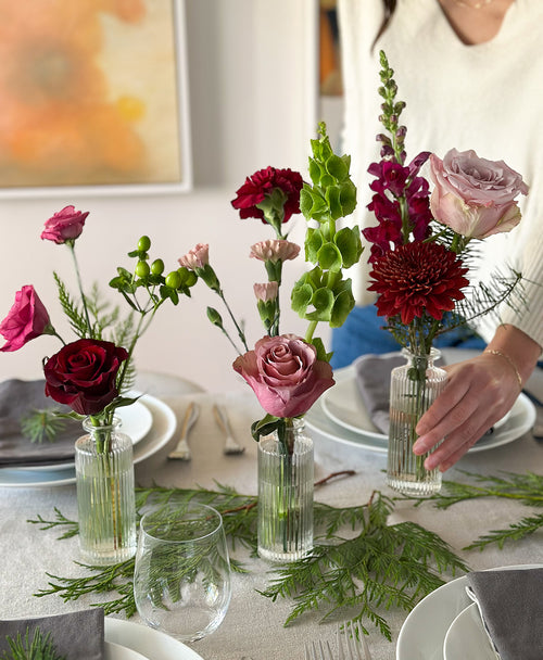 Buddy System (Colourful)