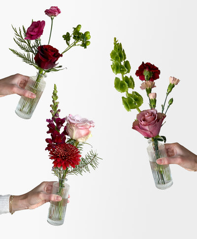 Buddy System (Colourful)