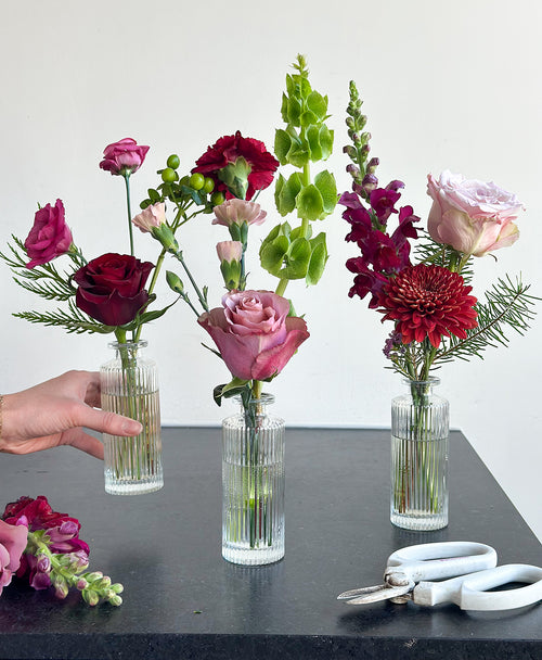 Buddy System (Colourful)