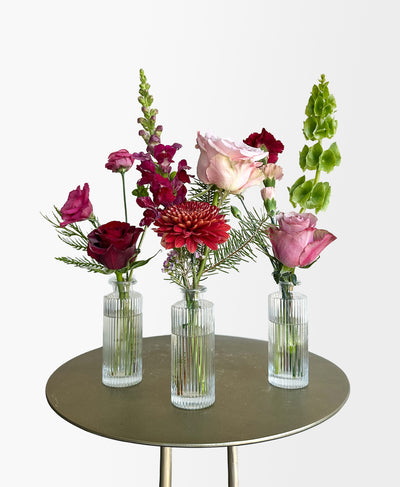 Buddy System (Colourful)