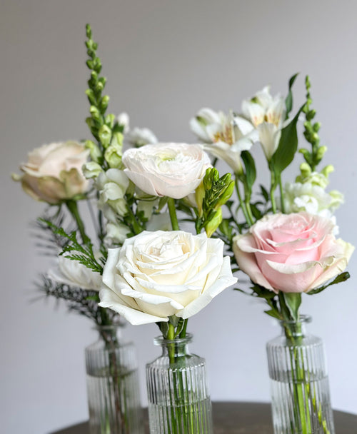 Buddy System (Neutral)