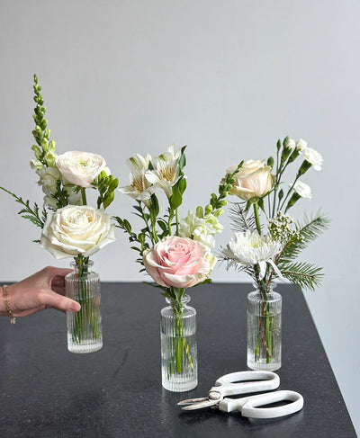 Buddy System (Neutral)