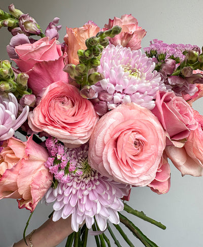 Candy Floss (18+ stems)