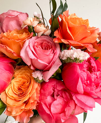 Frill Seeker (13+ Stems)