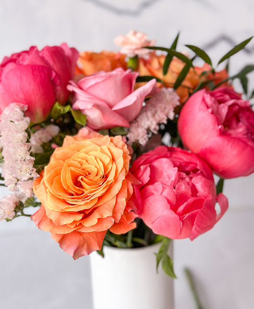 Frill Seeker (13+ Stems)