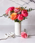 Frill Seeker (13+ Stems)