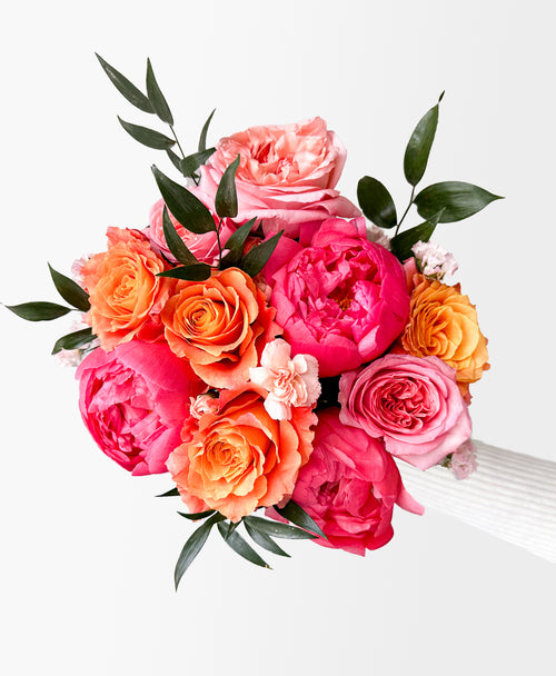 Frill Seeker (13+ Stems)