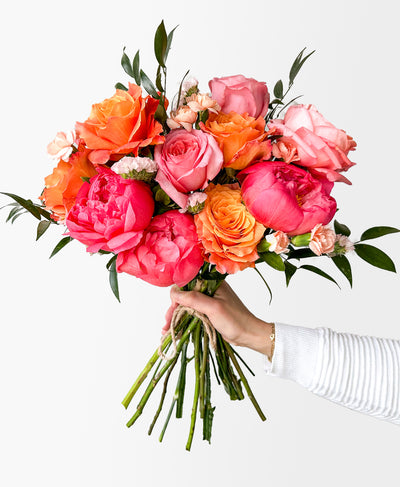 Frill Seeker (13+ Stems)