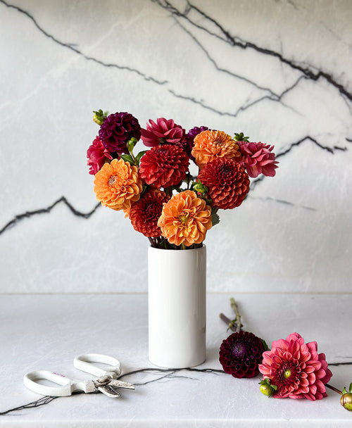 Fall Dahls (15 stems)