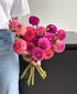 Dahled Up (15 stems)