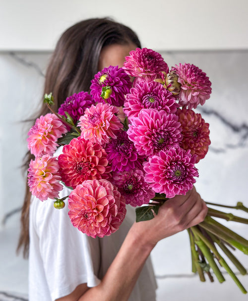 Dahled Up (15 stems)