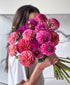 Dahled Up (15 stems)