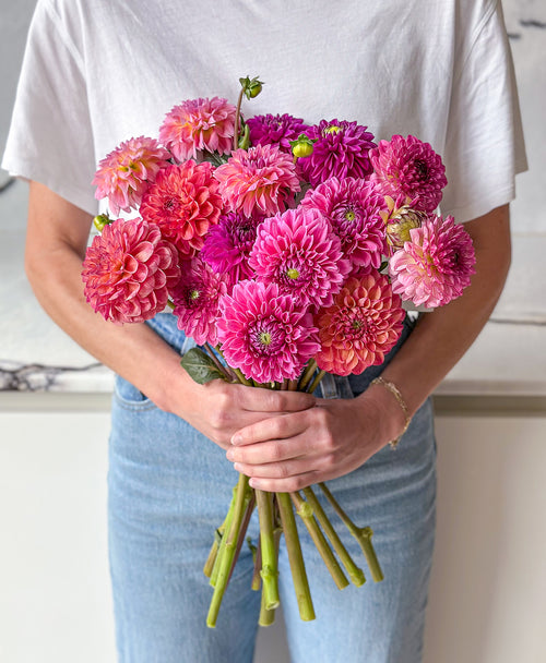 Dahled Up (15 stems)