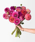 Dahled Up (15 stems)