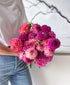Extra Dahled Up (24 stems)