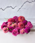 Extra Dahled Up (24 stems)