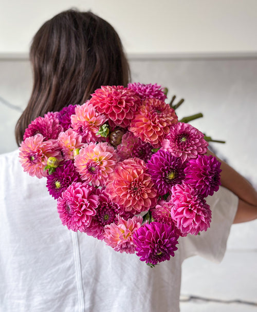 Extra Dahled Up (24 stems)