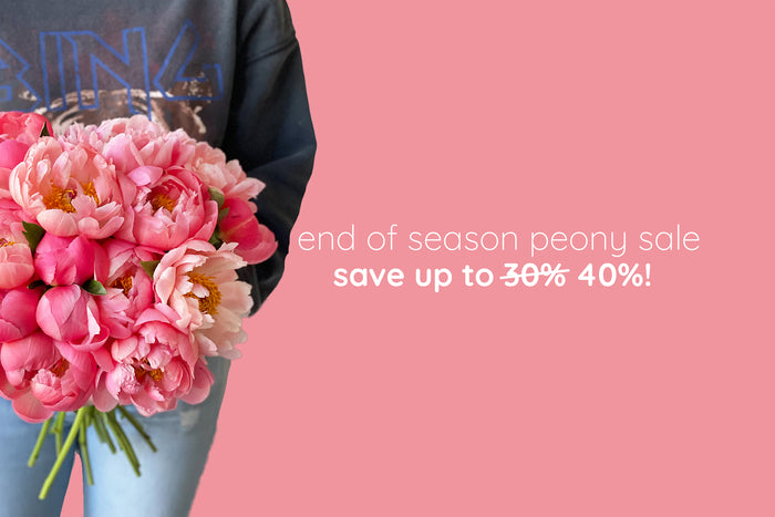 Fast, reliable, delightful Toronto flower delivery