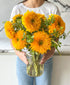Teddy Bear Sunflowers (arrives in vase)