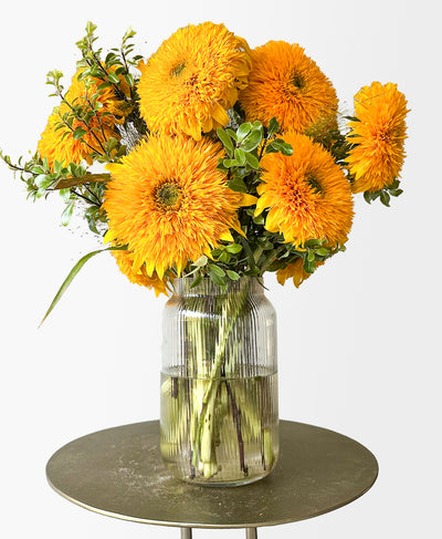 Teddy Bear Sunflowers (arrives in vase)