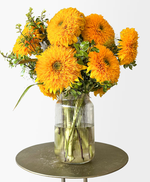 Teddy Bear Sunflowers (arrives in vase)