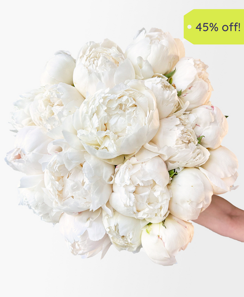 Double Ivory Lace Peonies (20 Stems)