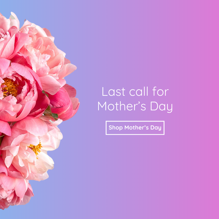 Toronto flower delivery you can actually count on