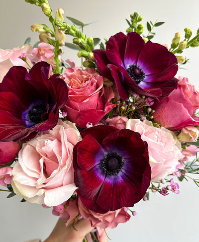 Merlot and Behold (17+ stems)