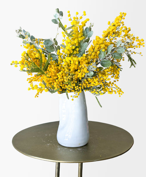 Mimosa (in white vase)