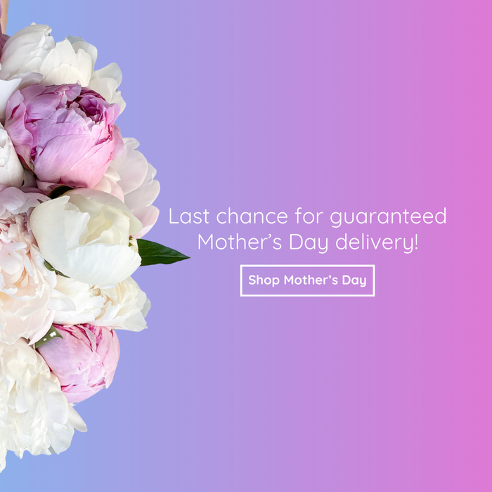 Fast, reliable, delightful Toronto flower delivery