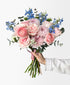 Once Upon a Time (15+ stems)