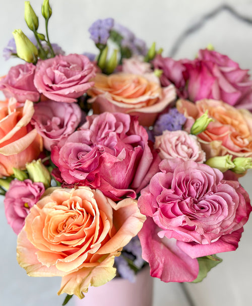 Sweet Heat (15+ stems)
