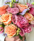 Sweet Heat (15+ stems)