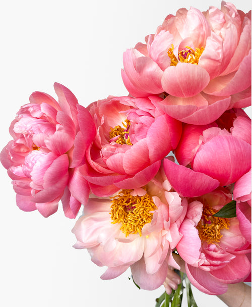 <h2>Mother's Day FAQ </h2>
