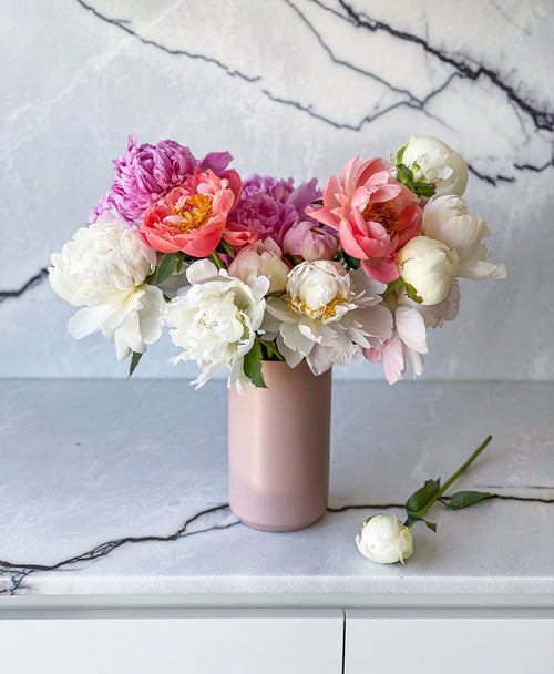 Double Farmer’s Peony Mix (20 Stems)