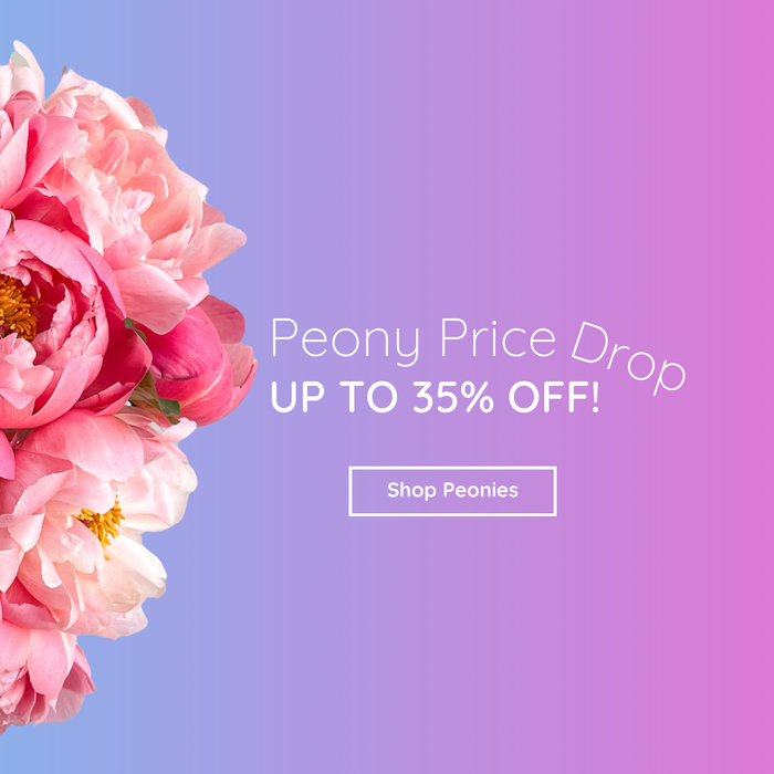 Toronto flower delivery you can actually count on