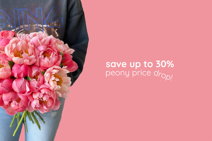 Fast, reliable, delightful Toronto flower delivery