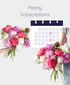 Save when you schedule Peonies on repeat