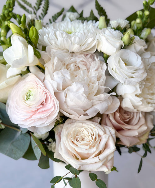The Peony Pop Farmboy (Neutral)