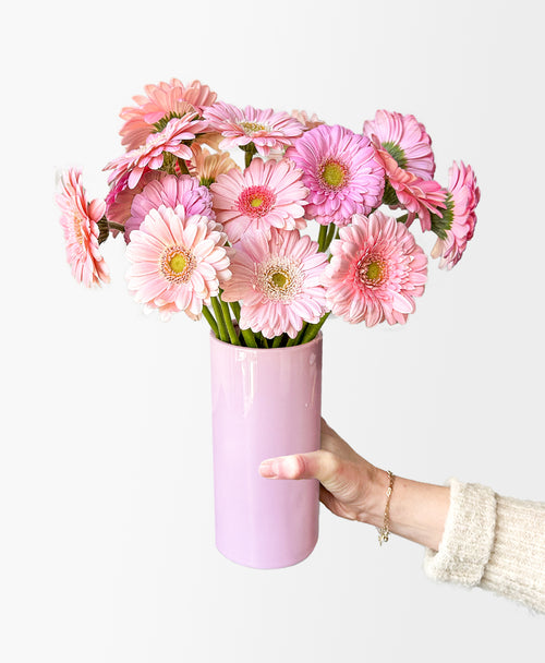 Ahead of the Gerb (21 stems, arrives in vase)