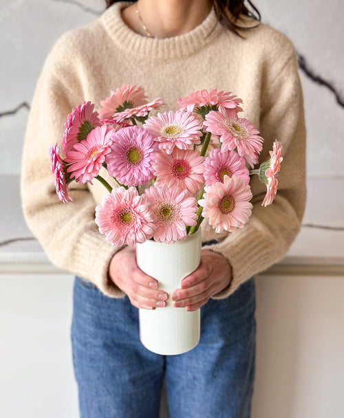 Ahead of the Gerb (21 stems, arrives in white vase)