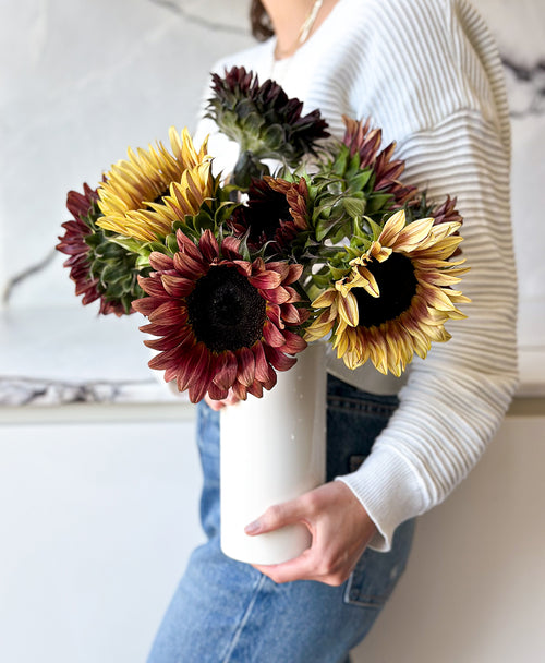 Plum Sunflowers (9 stems)