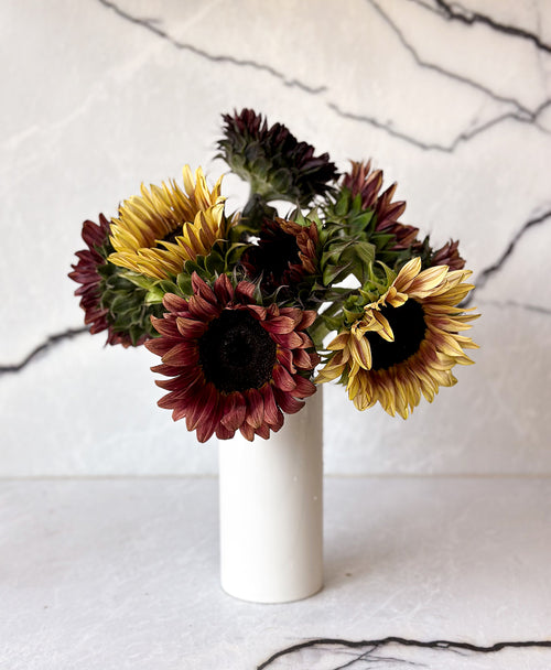 Plum Sunflowers (9 stems)